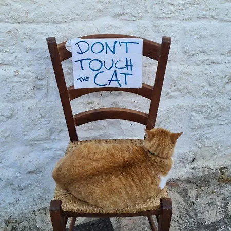 Salento - Casa Di Open Space * Nardò