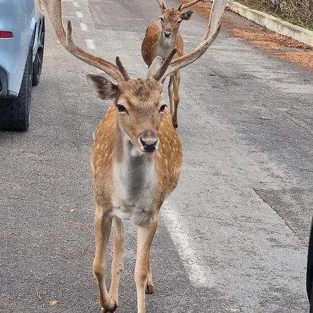 Salento - Casa Di Open Space *