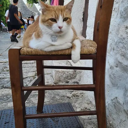 Salento - Casa Di Open Space *