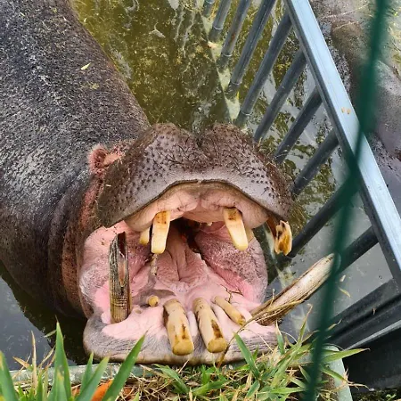 شقة Salento - Casa Di Open Space